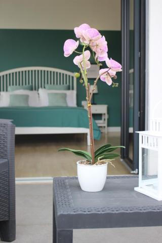 Angelina Homestay Aquino